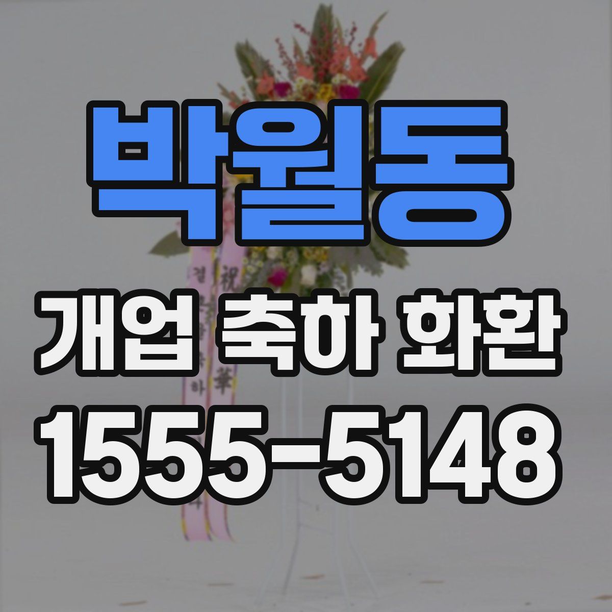 박월동 개업 축하 화환