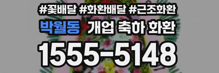 박월동 개업 축하 화환