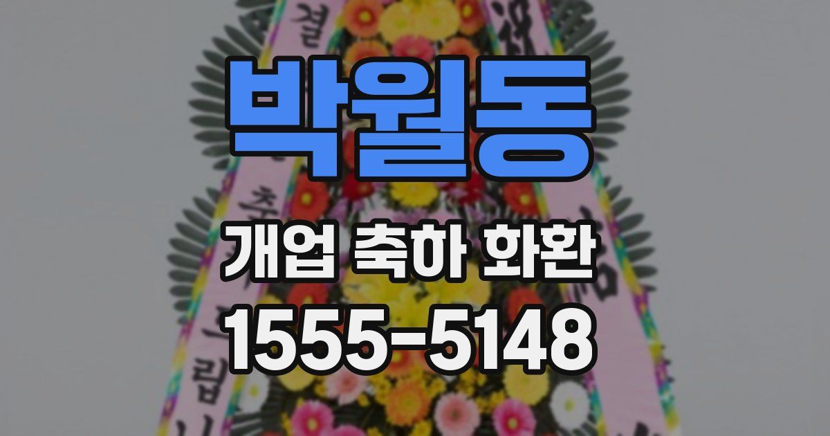 박월동 개업 축하 화환