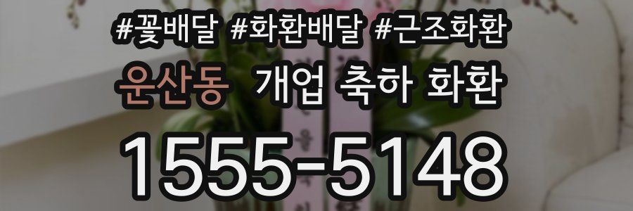 운산동 개업 축하 화환
