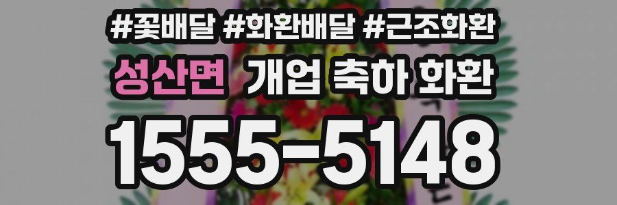 성산면 개업 축하 화환