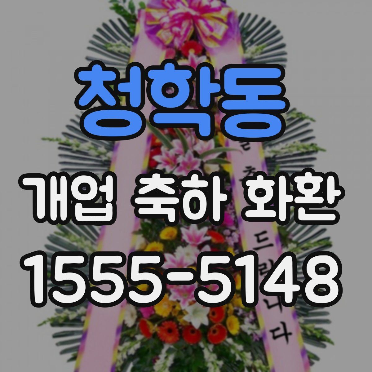 청학동 개업 축하 화환 꽃 종류별 인상 차이