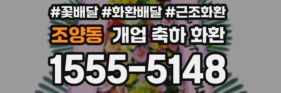조양동 개업 축하 화환