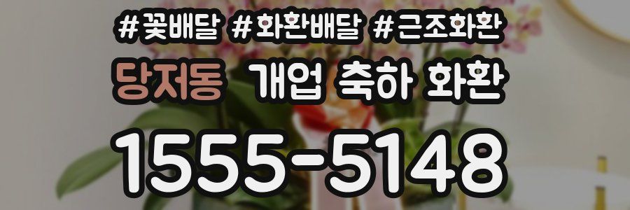 당저동 개업 축하 화환