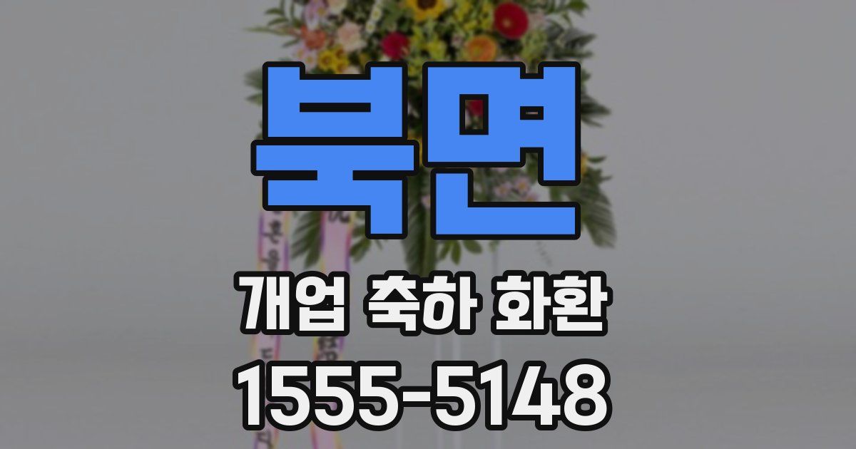 북면 개업 축하 화환