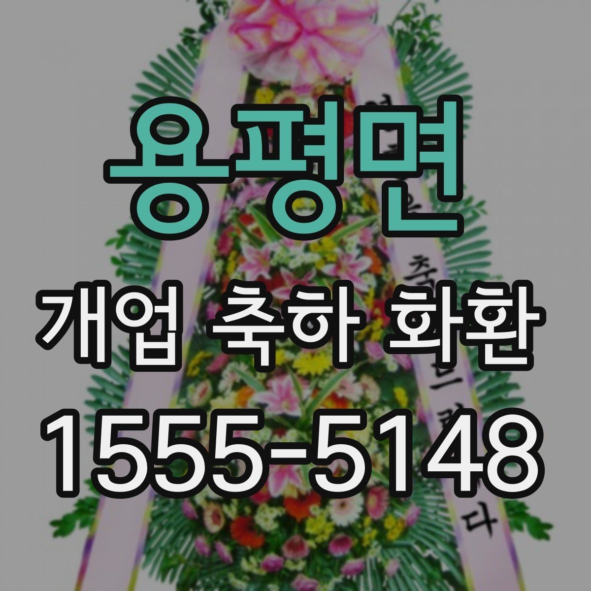 용평면 개업 축하 화환 단골 주문 전 비교할 점