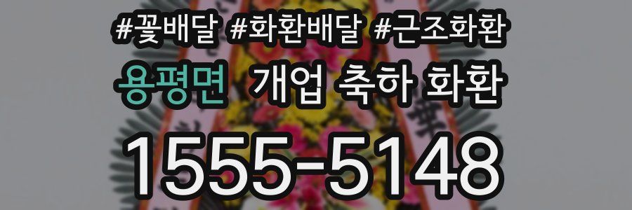 용평면 개업 축하 화환