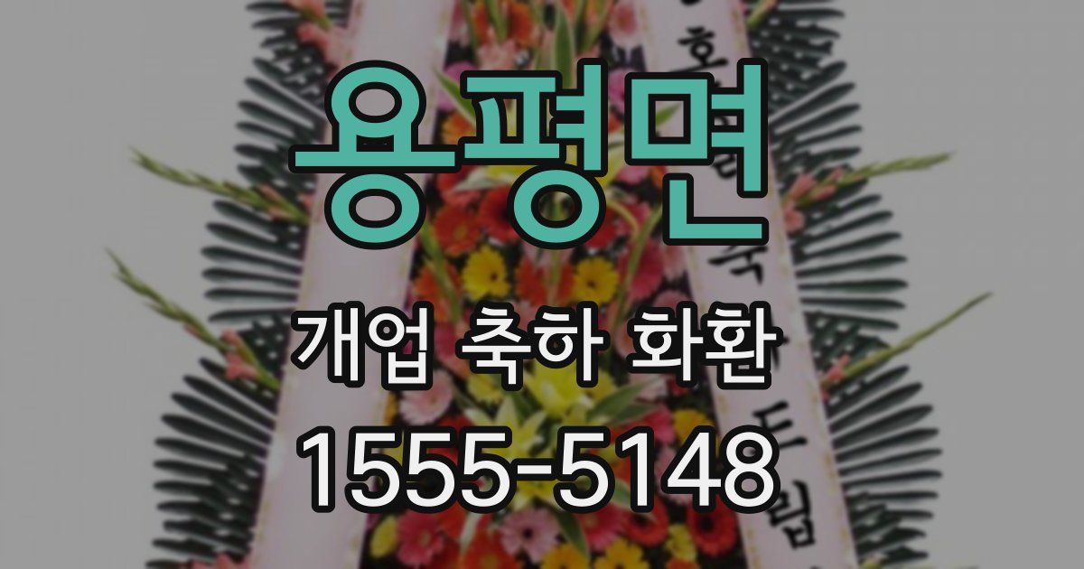용평면 개업 축하 화환