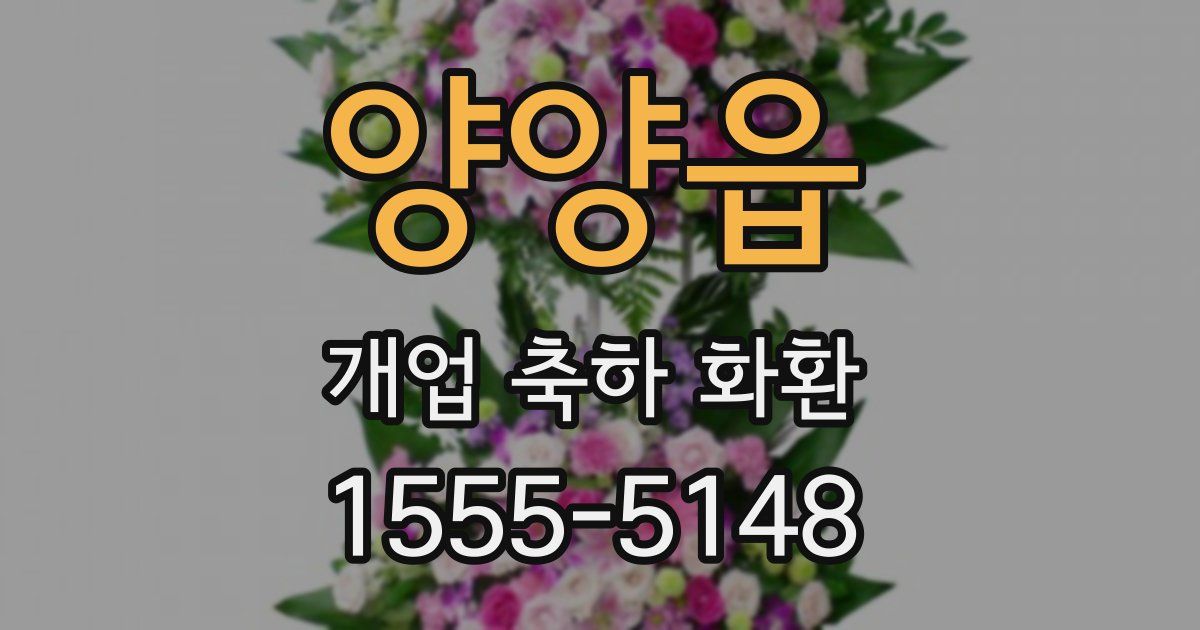양양읍 개업 축하 화환