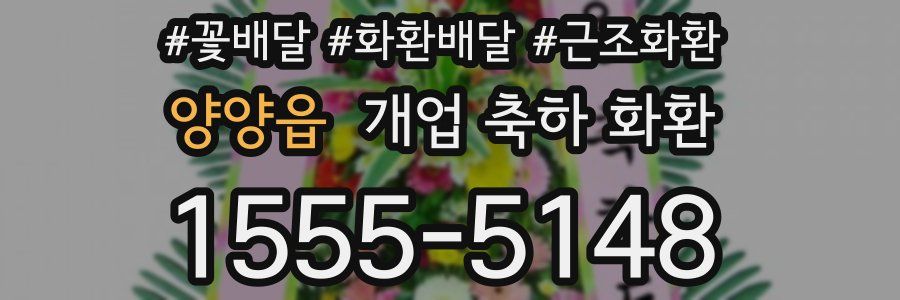 양양읍 개업 축하 화환