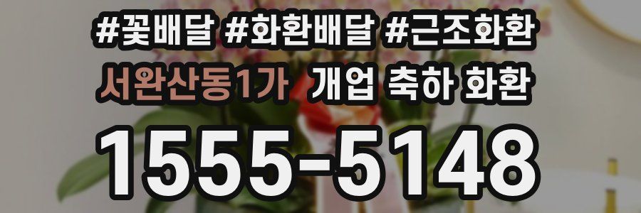서완산동1가 개업 축하 화환