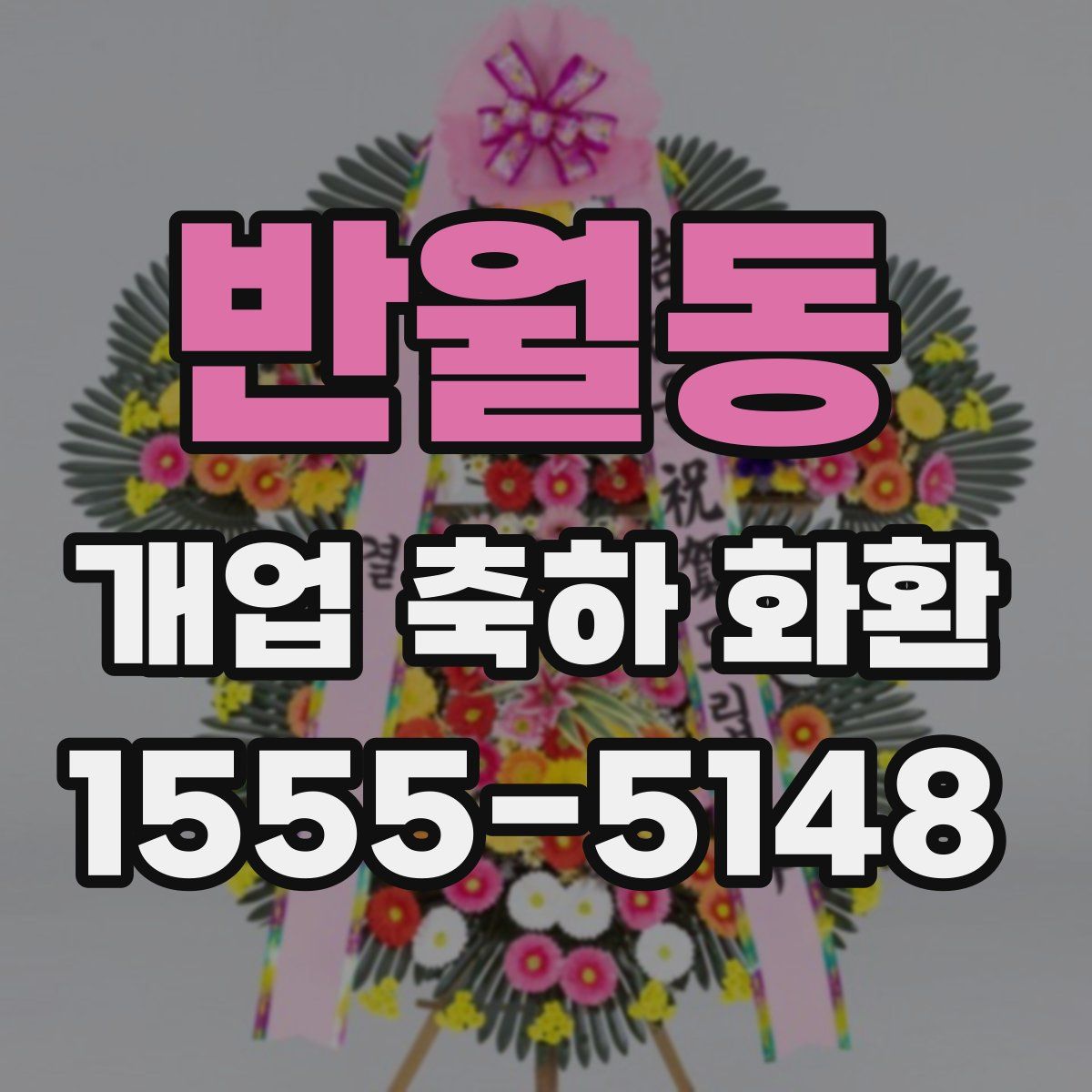 반월동 개업 축하 화환
