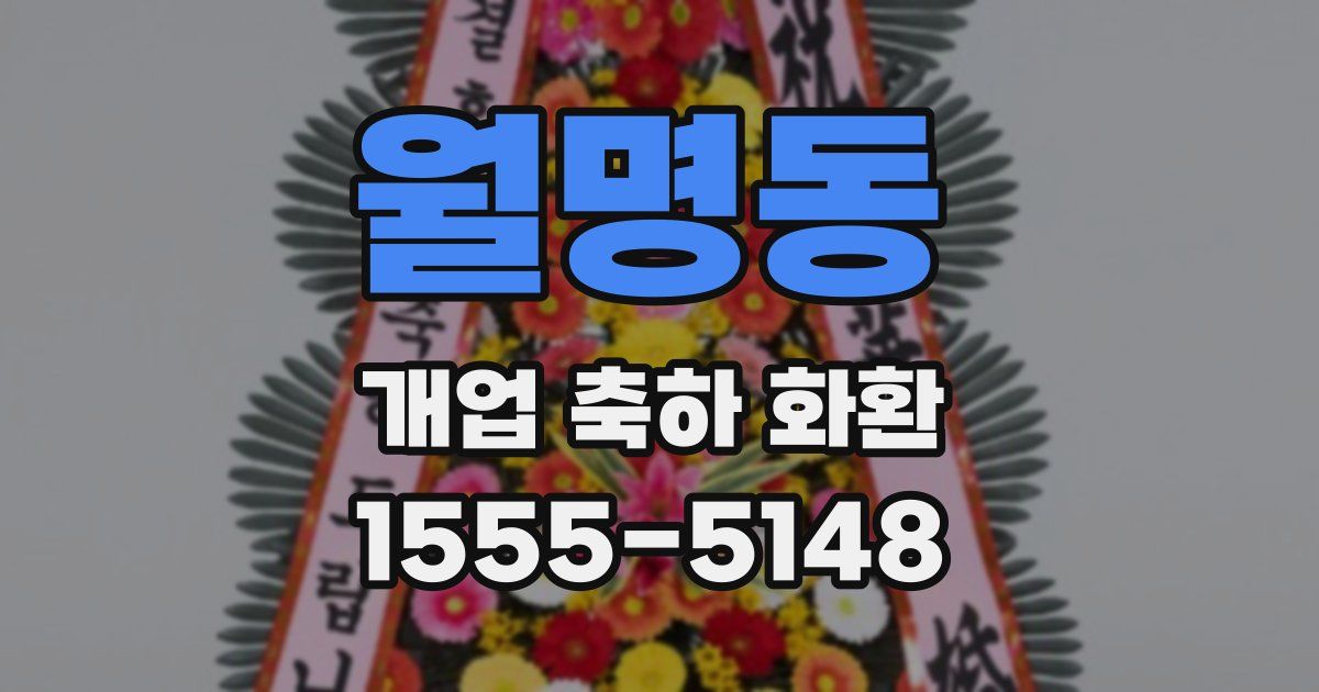 월명동 개업 축하 화환