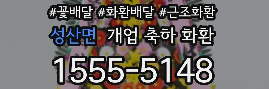 성산면 개업 축하 화환