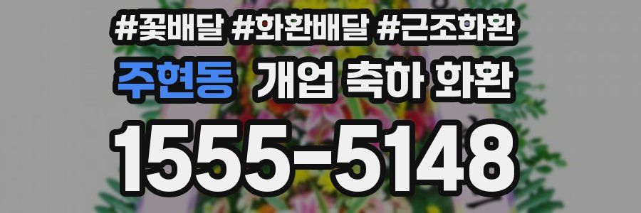 주현동 개업 축하 화환