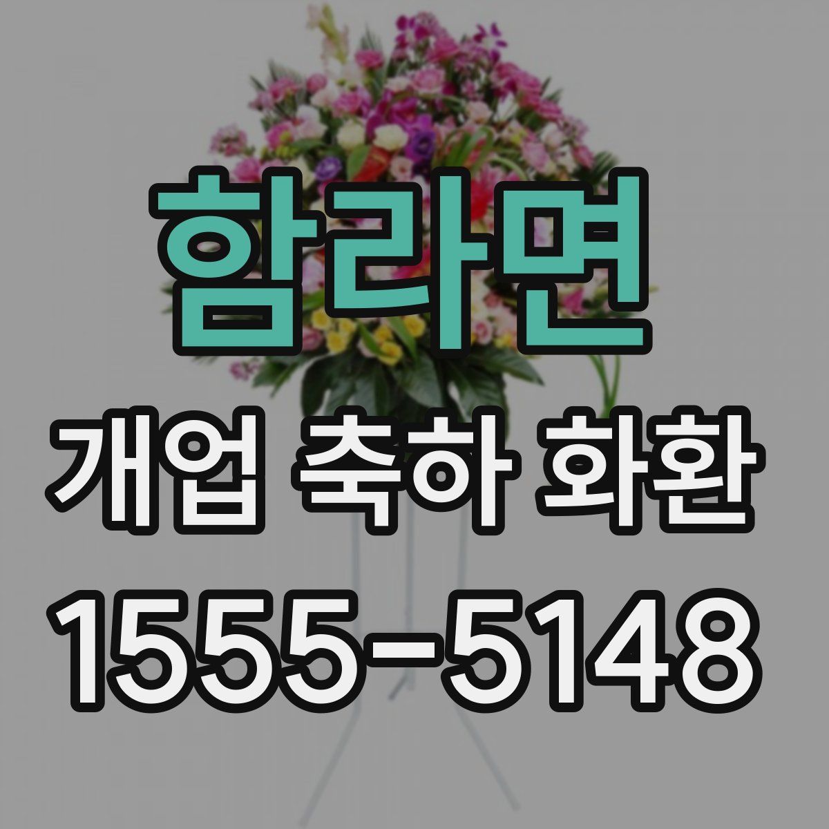 함라면 개업 축하 화환