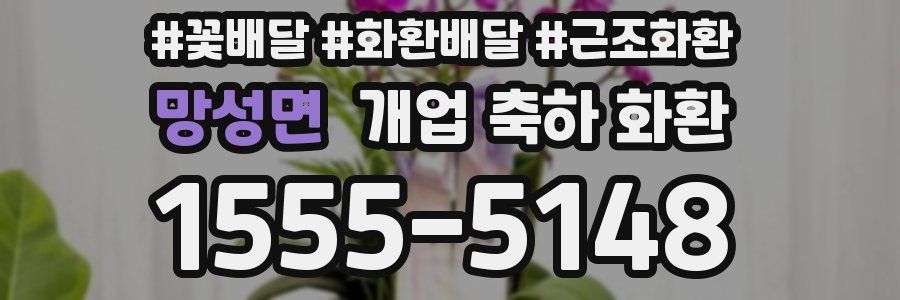 망성면 개업 축하 화환
