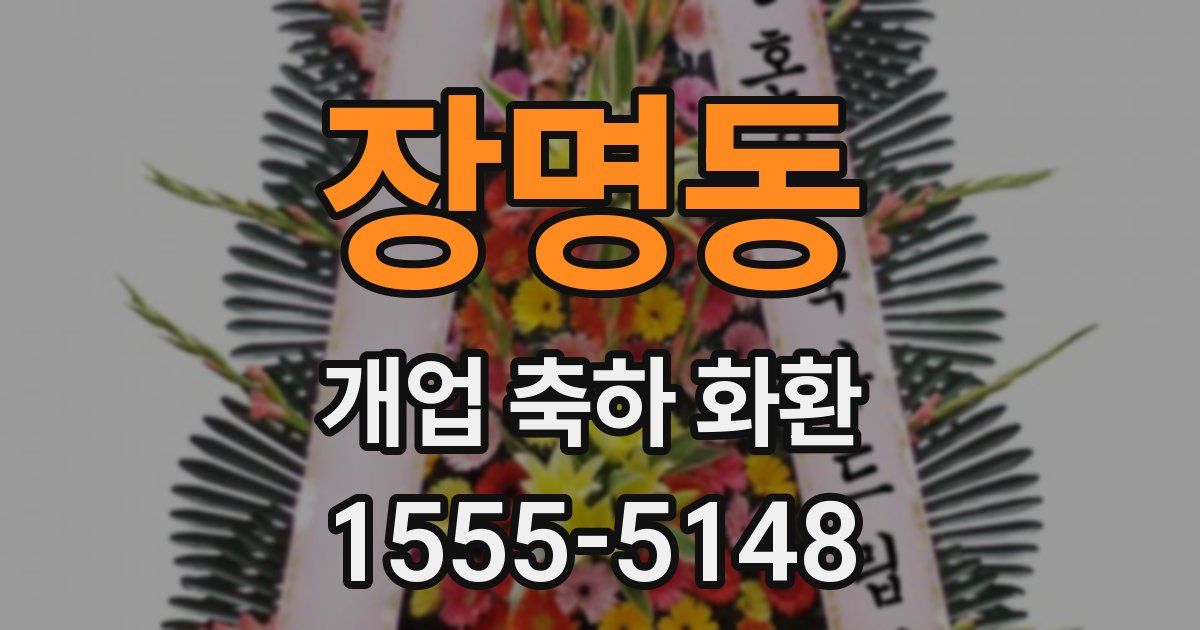 장명동 개업 축하 화환