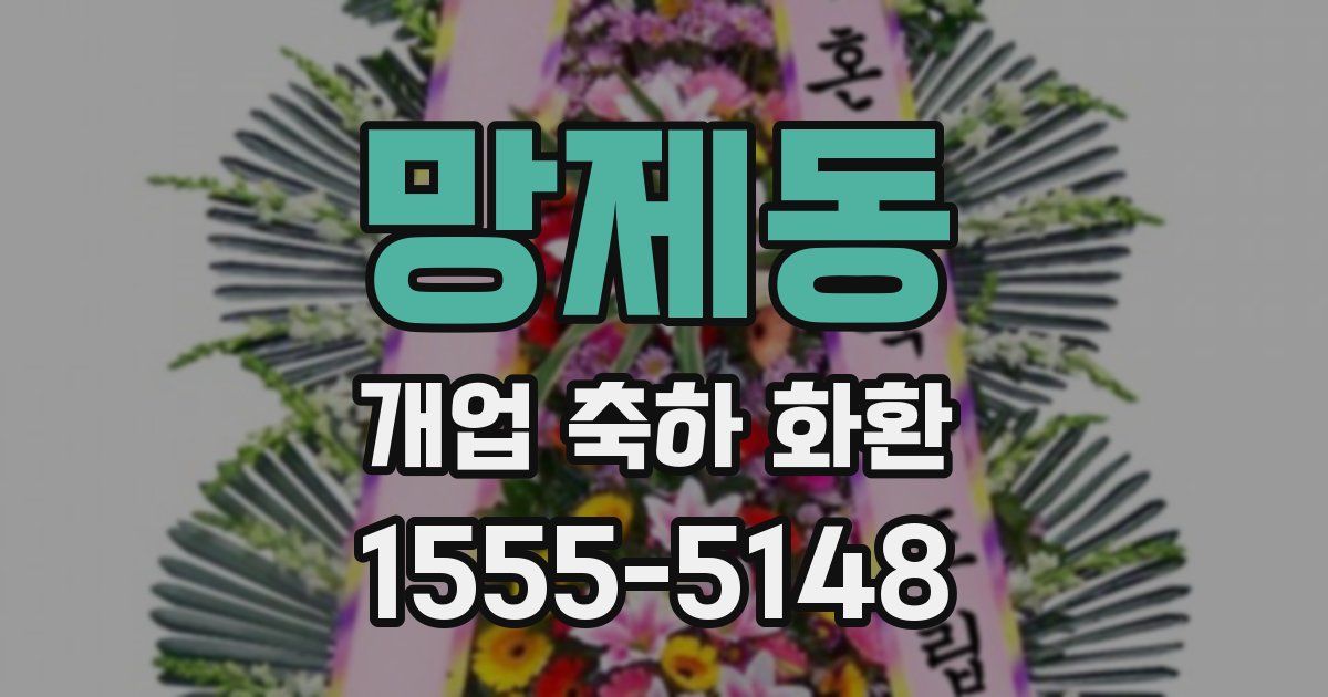 망제동 개업 축하 화환