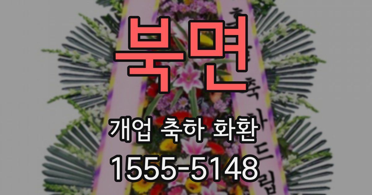 북면 개업 축하 화환