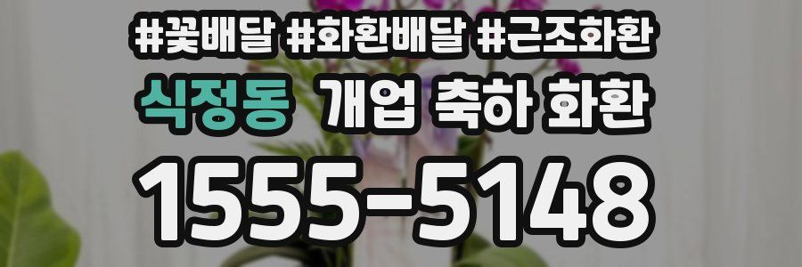 식정동 개업 축하 화환