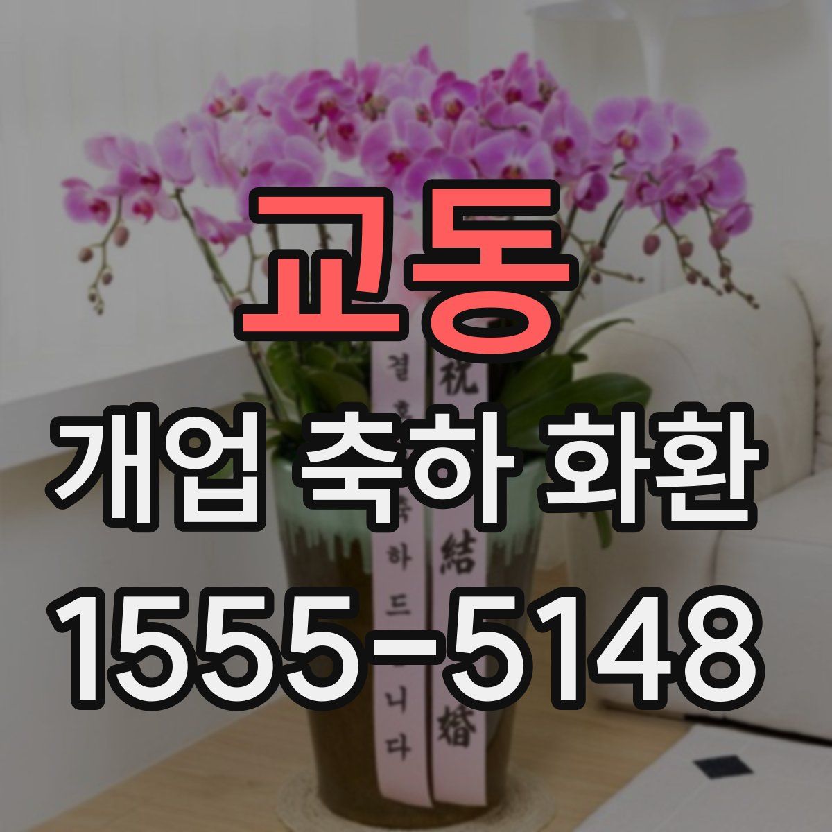 교동 개업 축하 화환
