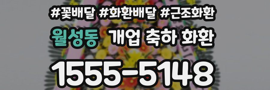 월성동 개업 축하 화환