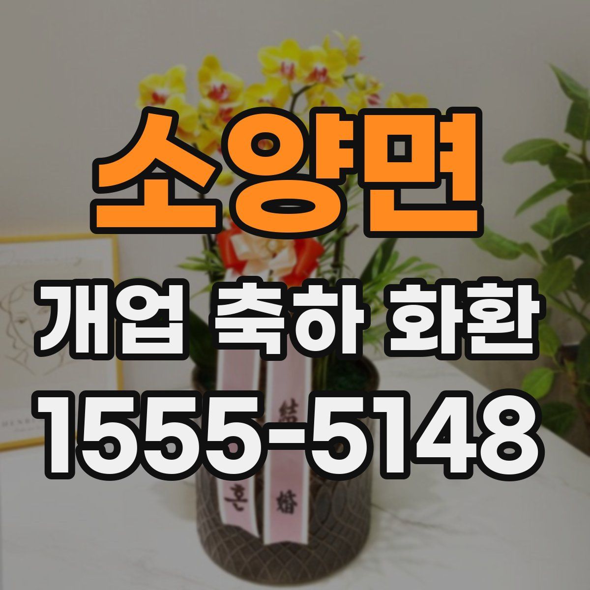 소양면 개업 축하 화환