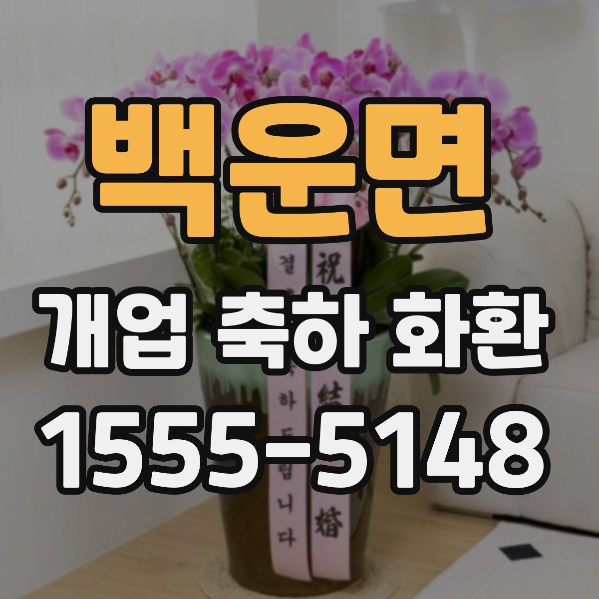 백운면 개업 축하 화환
