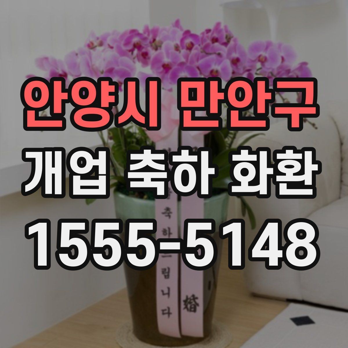 안양시 만안구 개업 축하 화환 현장 전달 전 최종 점검