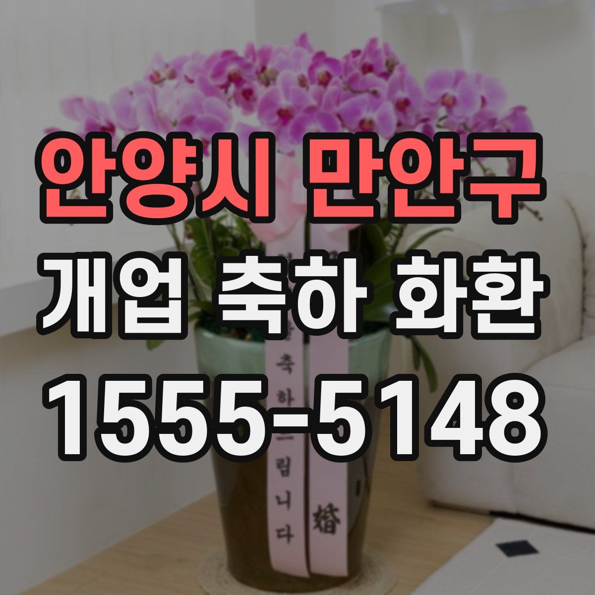 안양시 만안구 개업 축하 화환