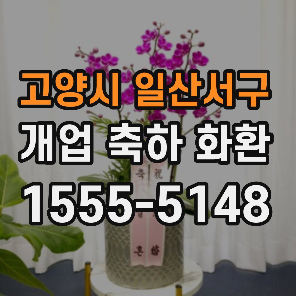 고양시 일산서구 개업 축하 화환