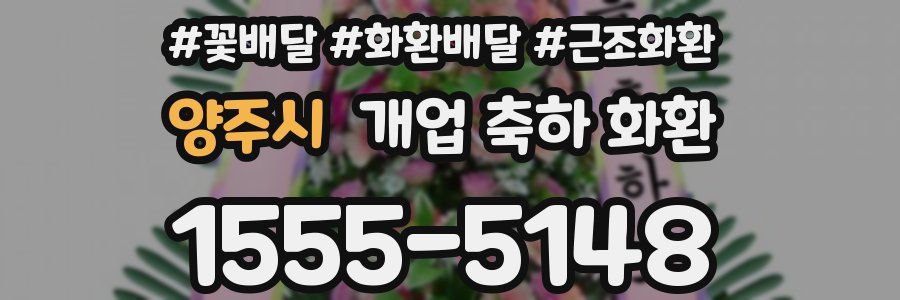 양주시 개업 축하 화환