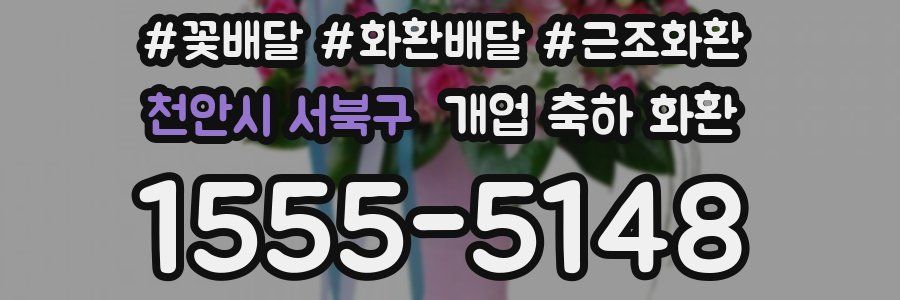 천안시 서북구 개업 축하 화환