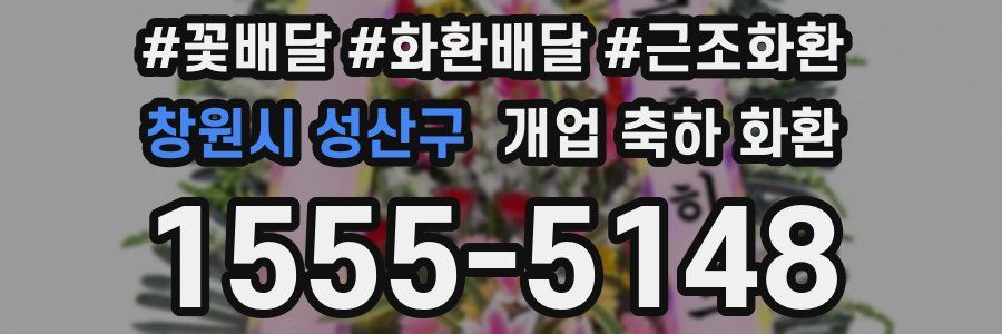 창원시 성산구 개업 축하 화환