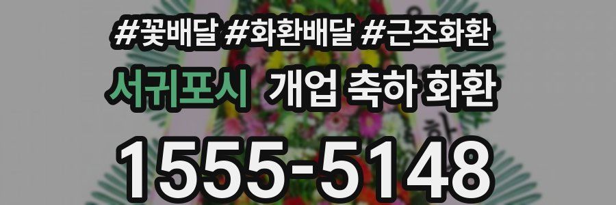 서귀포시 개업 축하 화환