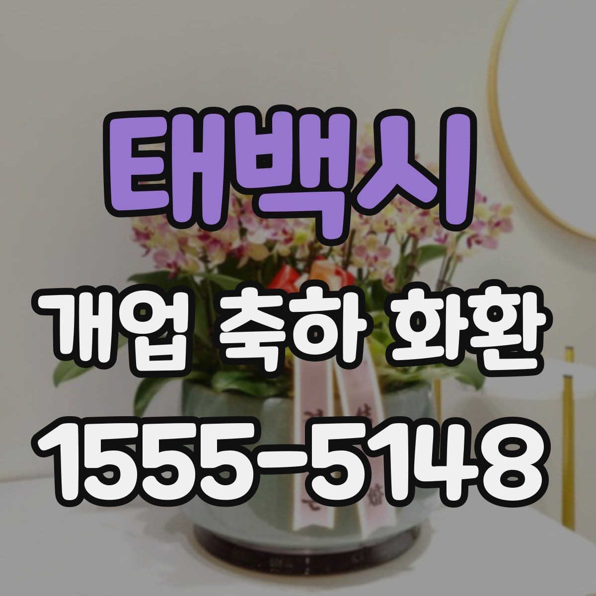 태백시 개업 축하 화환 색상별 분위기 차이