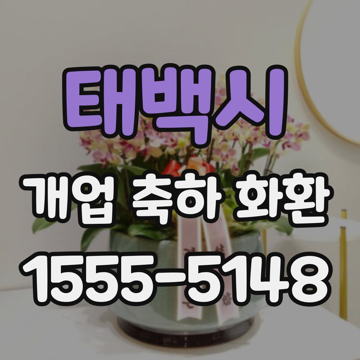 태백시 개업 축하 화환