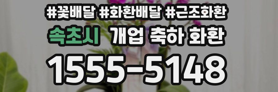 속초시 개업 축하 화환