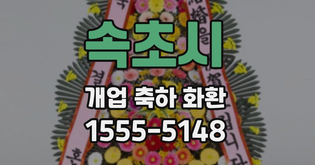 속초시 개업 축하 화환