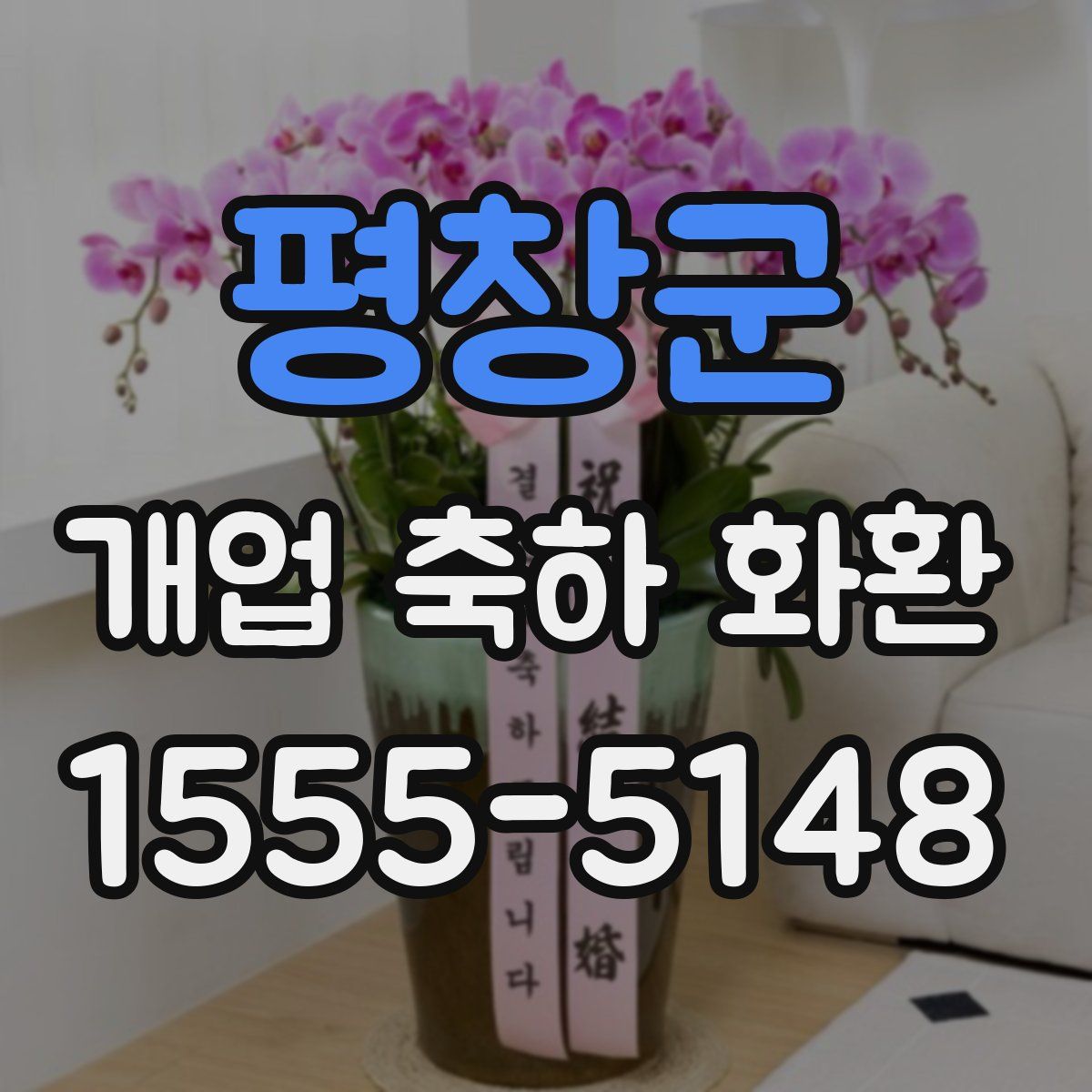 평창군 개업 축하 화환