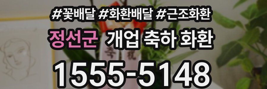 정선군 개업 축하 화환