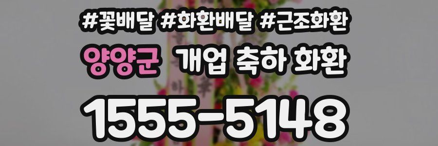 양양군 개업 축하 화환