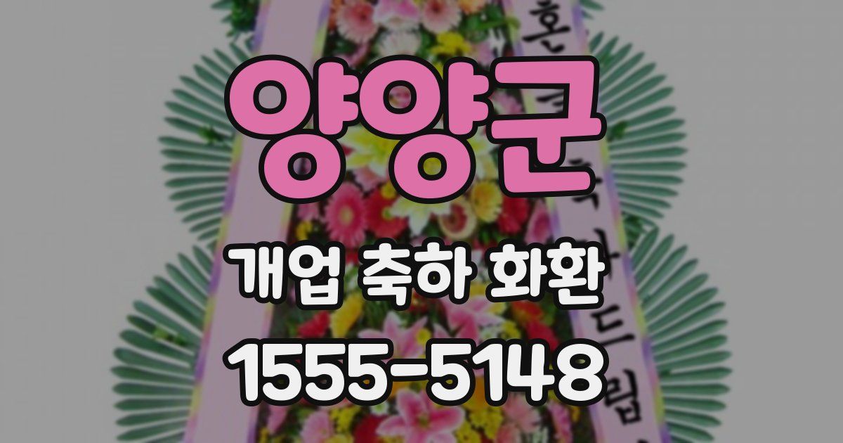 양양군 개업 축하 화환