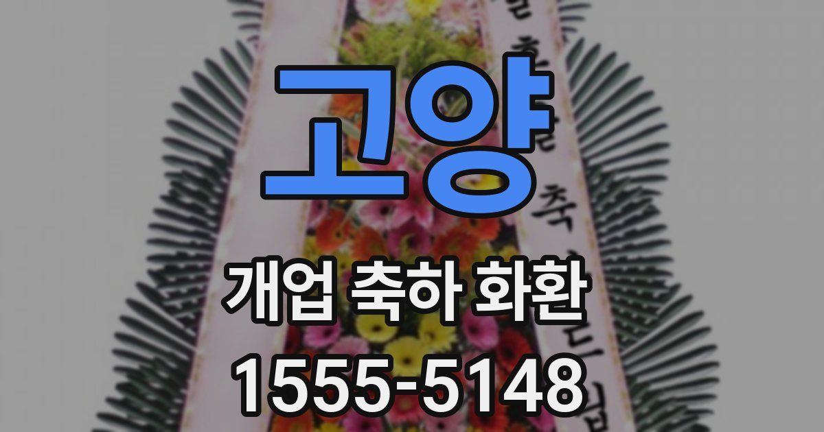 고양 개업 축하 화환