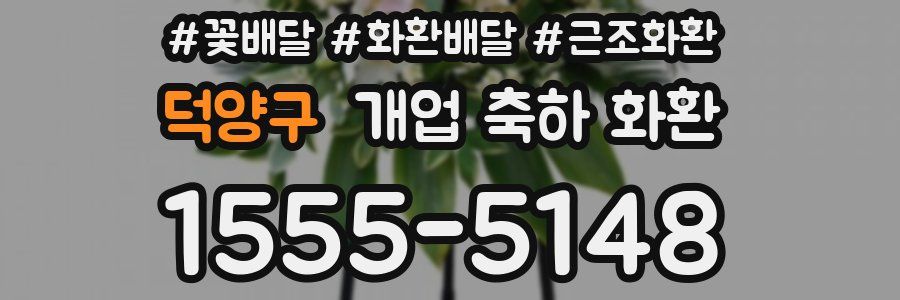 덕양구 개업 축하 화환