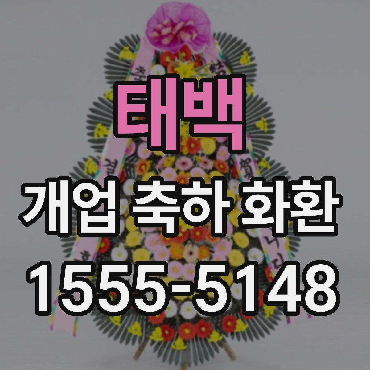 태백 개업 축하 화환