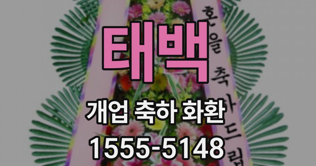 태백 개업 축하 화환