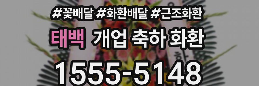 태백 개업 축하 화환