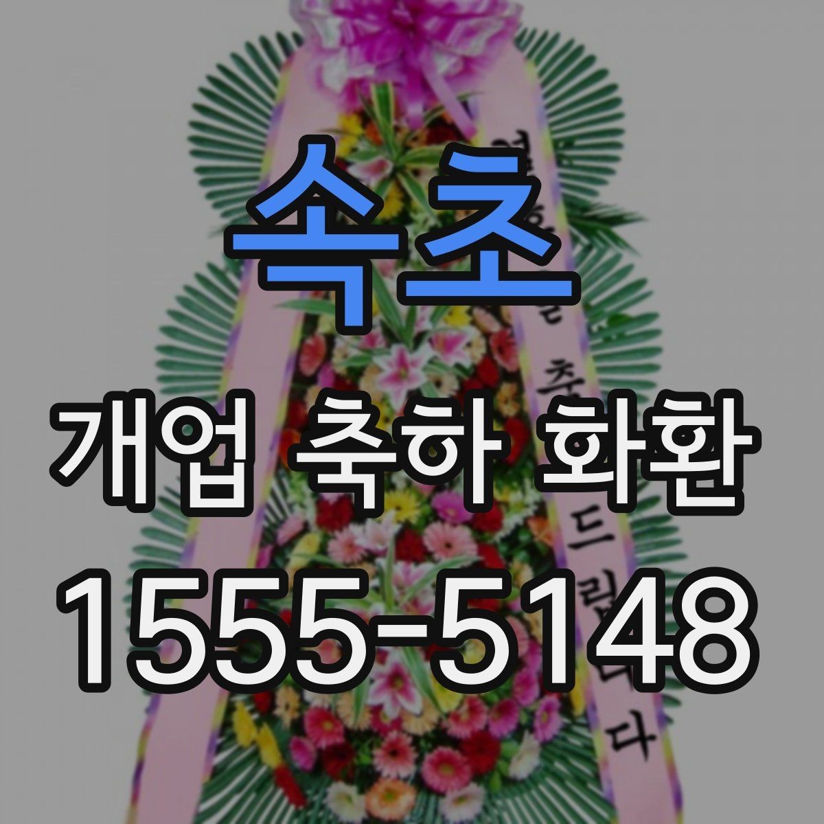 속초 개업 축하 화환 설치 공간에 맞추는 법